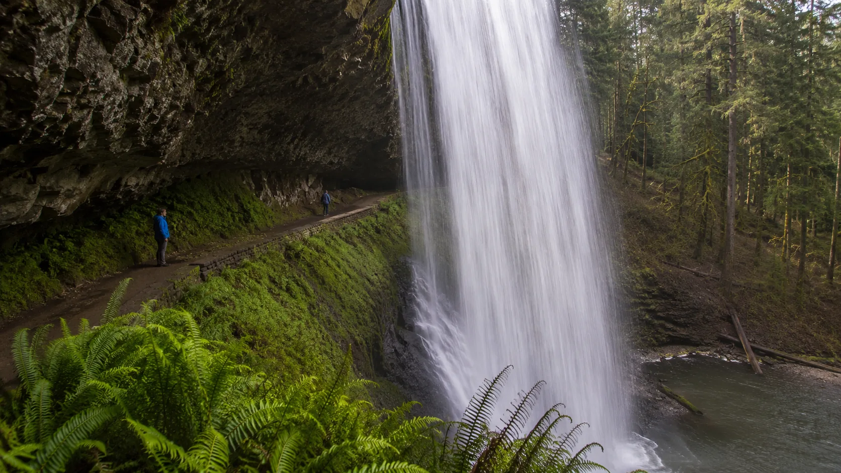 Uma cachoeira larga em cortina despencando sobre uma saliência de basalto com um caminho passando por trás da água, samambaias e floresta de coníferas emoldurando a cena, sem marco identificável