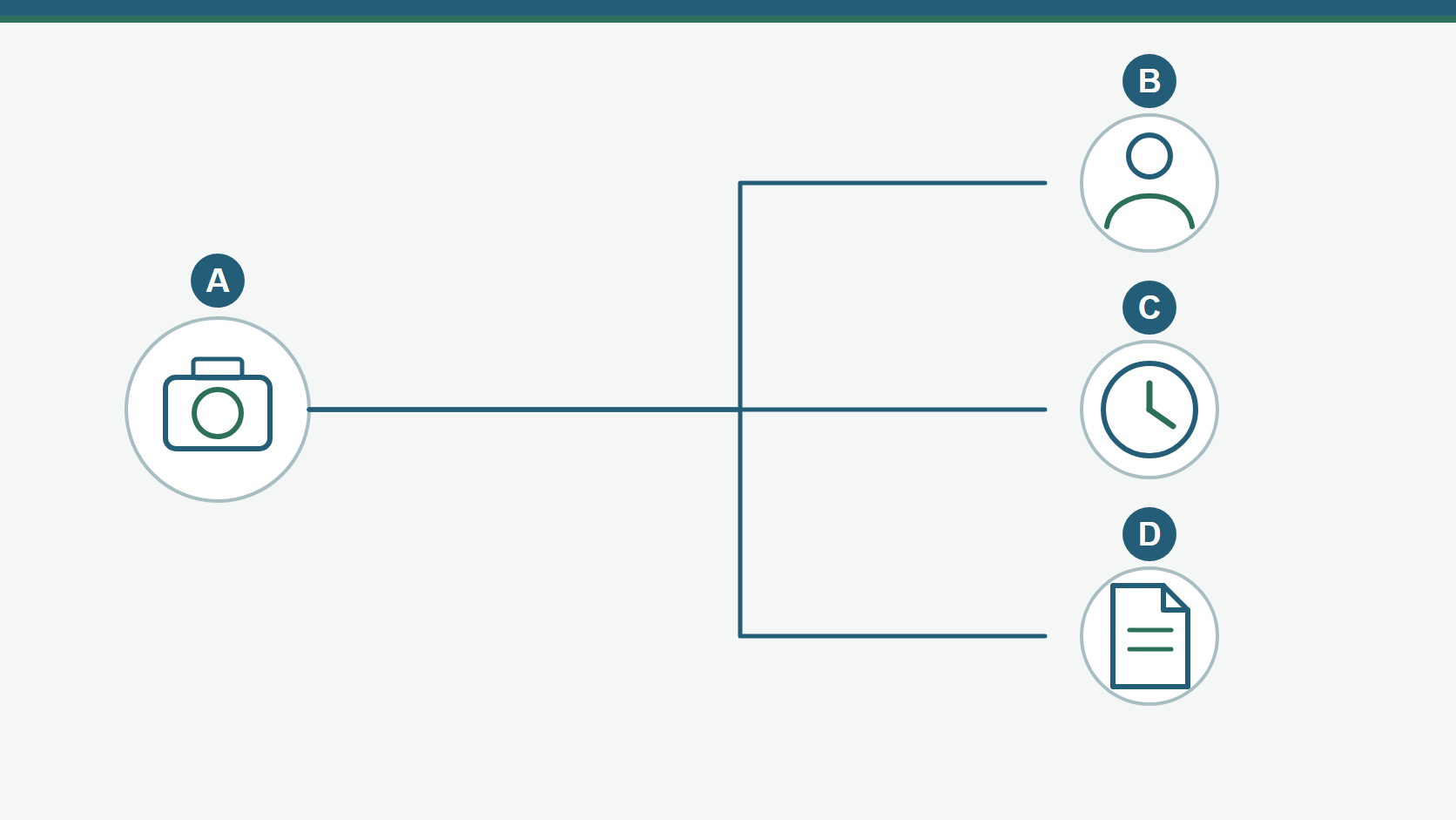 Diagram separating community sharing, paid views and photo licensing